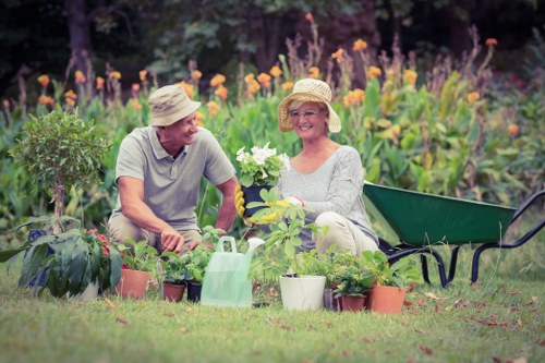 Professional garden clearance in Stratford
