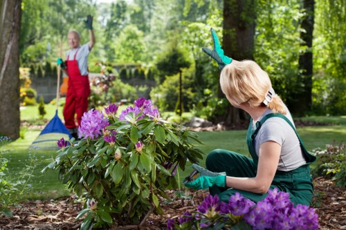 Gardening Stratford team starting a project in a terraced garden